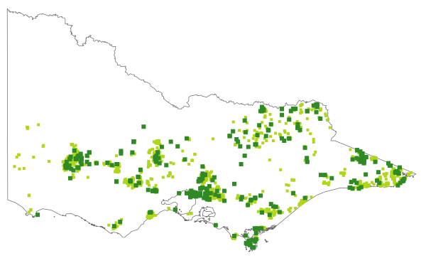 Gompholobium huegelii (distribution map)