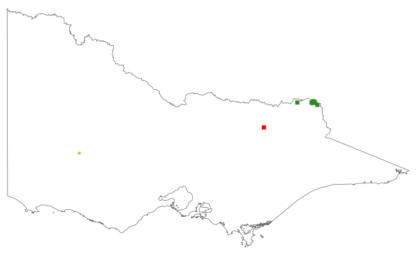 Acacia phasmoides (distribution map)