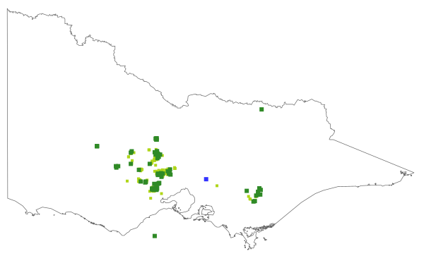 Dillwynia ramosissima (distribution map)