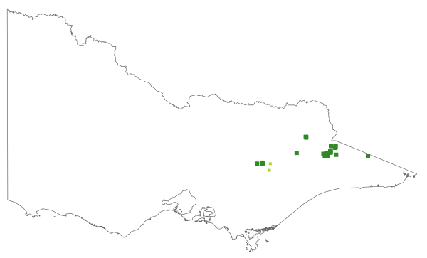 Poa petrophila (distribution map)