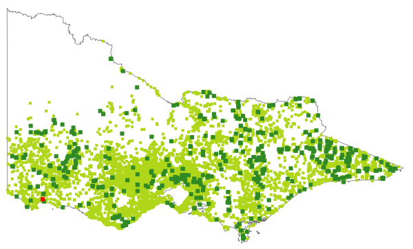 Poa labillardierei (distribution map)