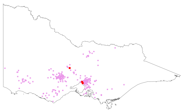 Quercus robur (distribution map)