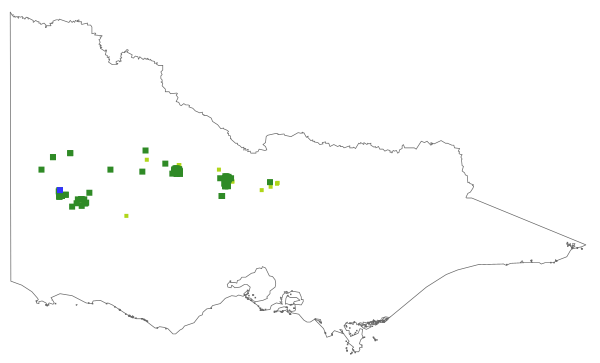 Eucalyptus froggattii (distribution map)