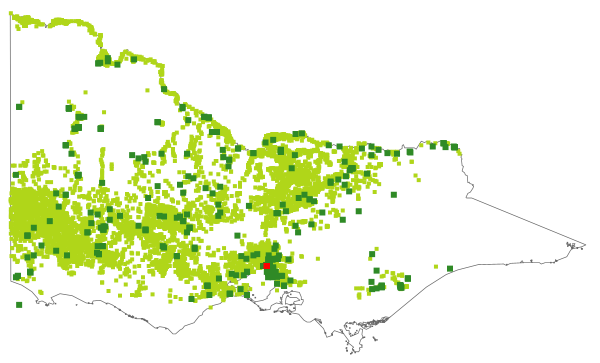Eucalyptus camaldulensis (distribution map)