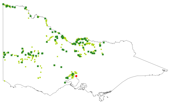 Brachyscome paludicola (distribution map)