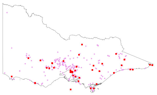 Aira praecox (distribution map)