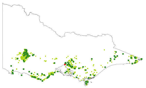 Leptospermum scoparium (distribution map)