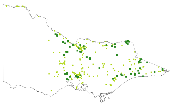 Juncus usitatus (distribution map)