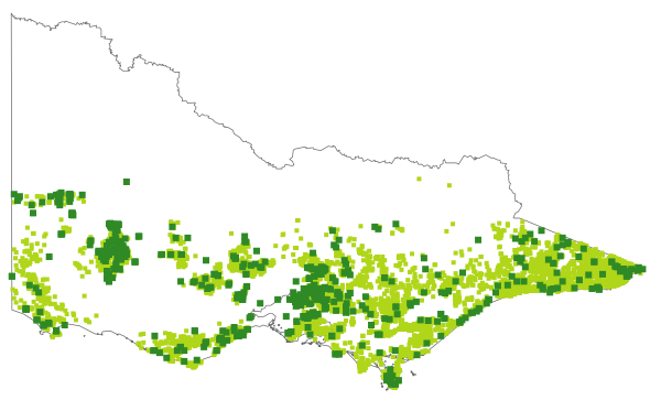 Epacris impressa (distribution map)