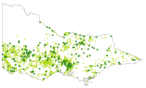 Juncus holoschoenus (distribution map)
