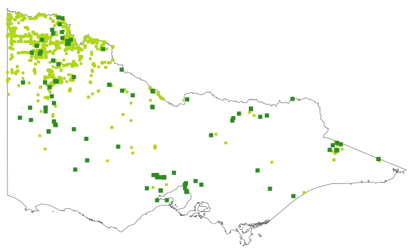 Calandrinia eremaea (distribution map)