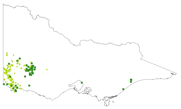 Melaleuca gibbosa (distribution map)