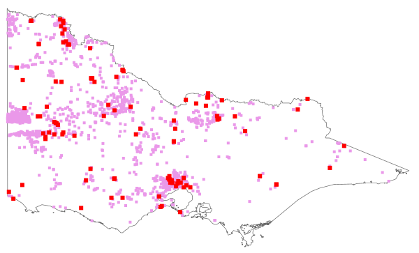 Salvia verbenaca (distribution map)