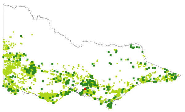 Banksia marginata (distribution map)