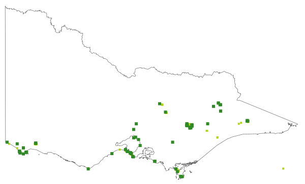 Pterostylis cucullata (distribution map)
