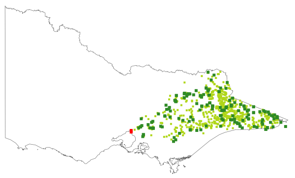 Lomatia myricoides (distribution map)