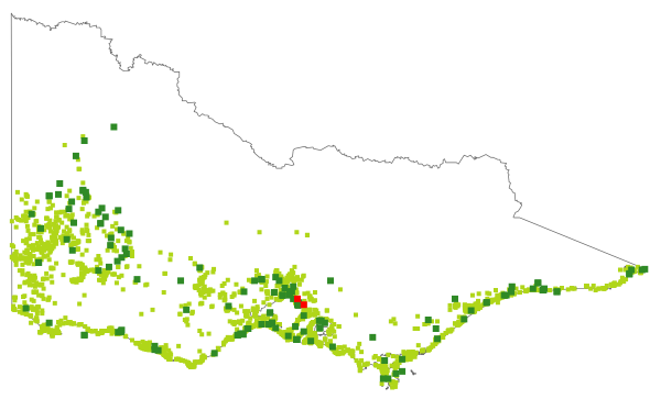 Ficinia nodosa (distribution map)