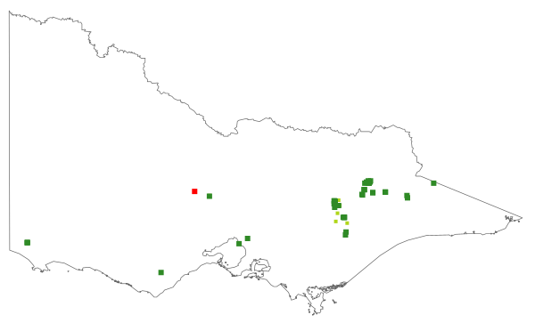 Deschampsia cespitosa (distribution map)
