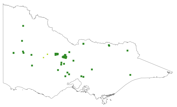 Pterostylis maxima (distribution map)