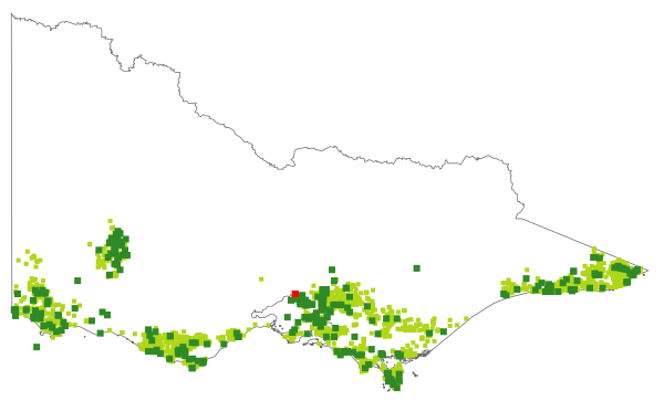 Melaleuca squarrosa (distribution map)