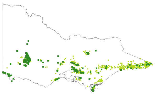 Pultenaea scabra (distribution map)