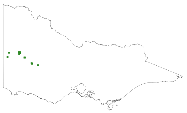 Caladenia lowanensis (distribution map)
