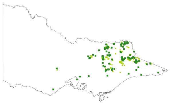 Mirbelia oxylobioides (distribution map)