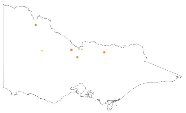 Sclerolaena birchii (distribution map)