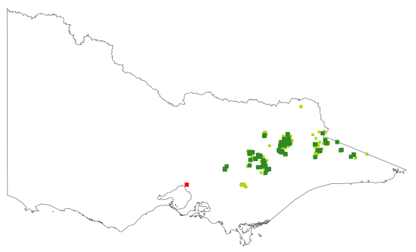 Poa costiniana (distribution map)