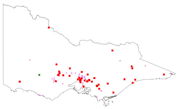 Oxalis articulata (distribution map)