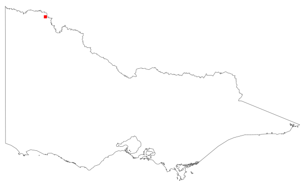 Hypericum hircinum (distribution map)