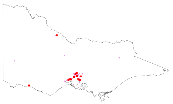 Apium graveolens (distribution map)
