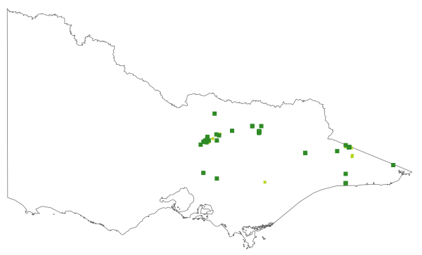 Acacia penninervis (distribution map)