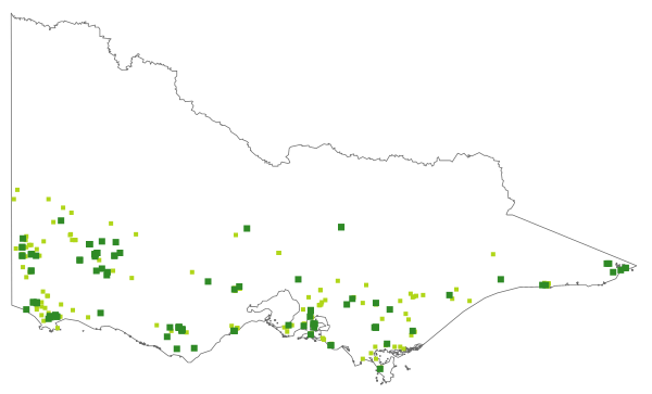 Thelymitra holmesii (distribution map)